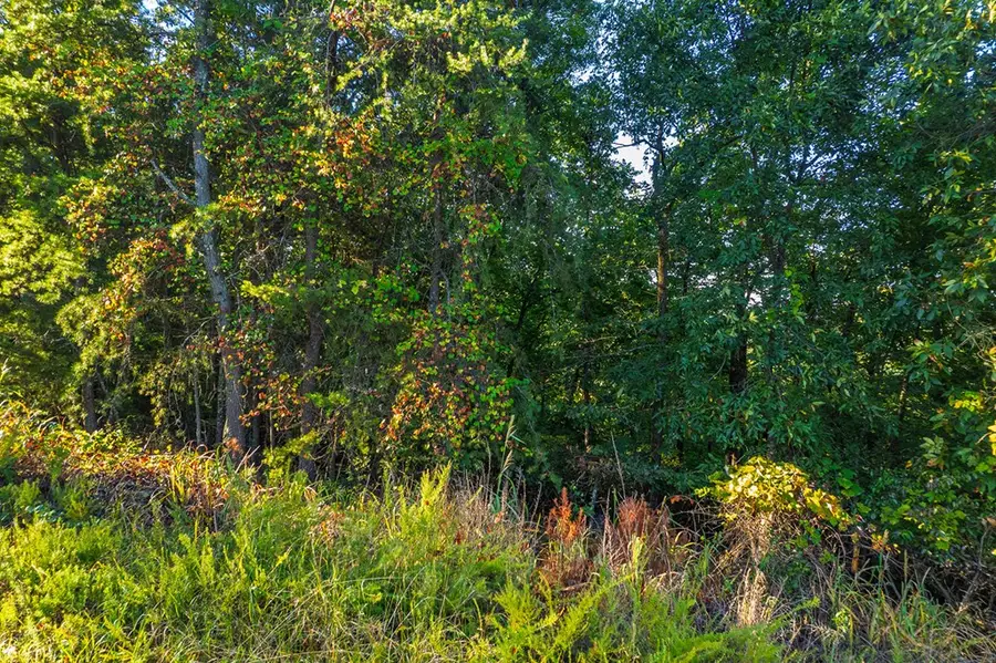 248 Stirratt Road, Ranger, GA 30734 - #2