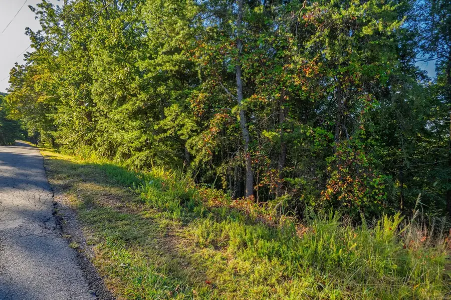 248 Stirratt Road, Ranger, GA 30734 - #3