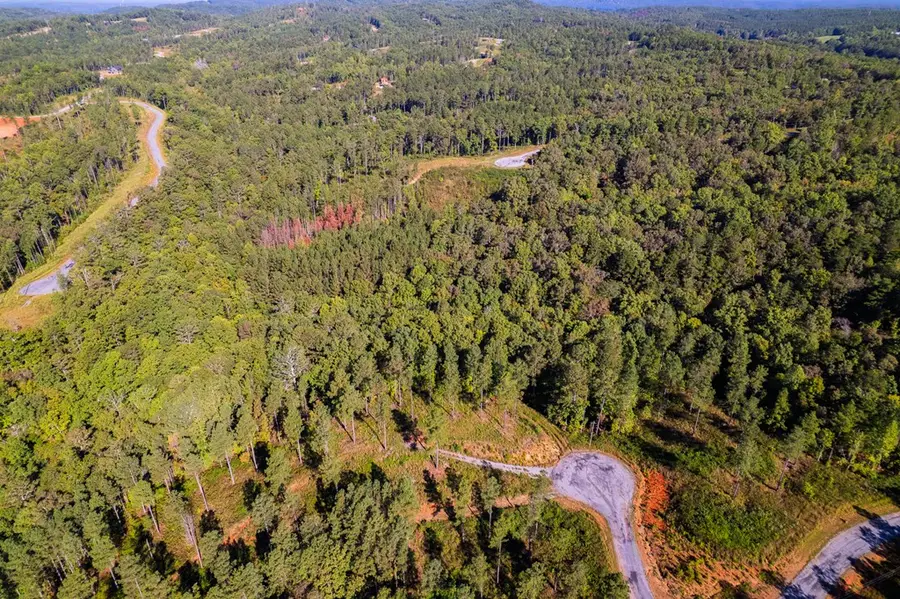Lot 52 Royal Wulff Avenue, Talking Rock, GA 30175 - #2