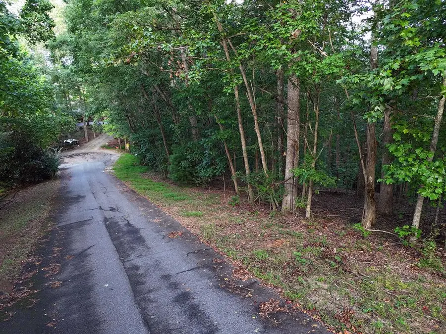 L 48C Byron Street, Blairsville, GA 30512 - Image #2