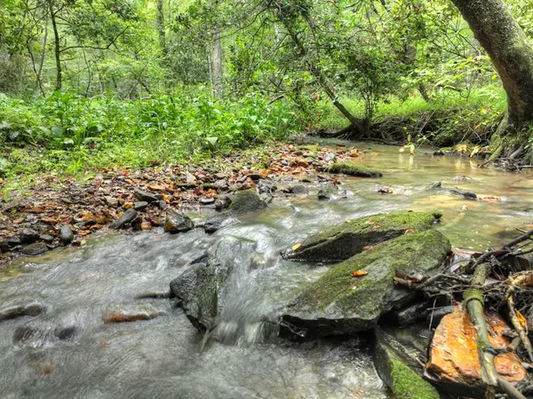 Lot 45 Synacia Drive, Mineral Bluff, GA 30559