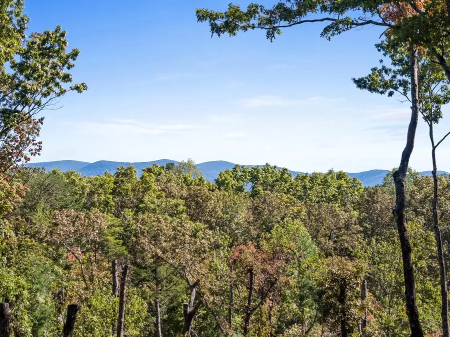 99 Chestnut Hills Lane, Blue Ridge, GA 30513 - #3