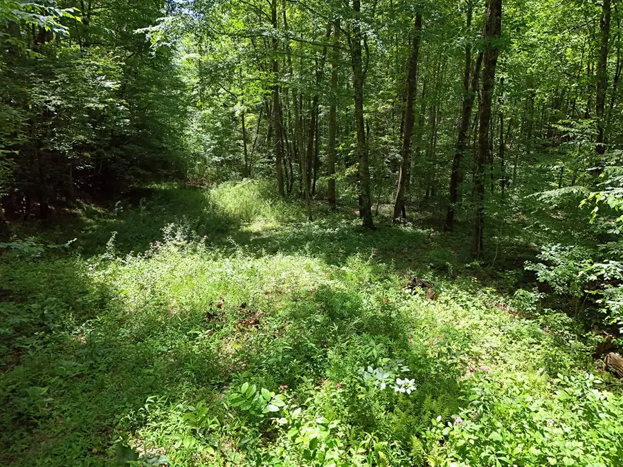 Lt15/15A Hightower Ridge, Hiawassee, GA 30546 - Image #2