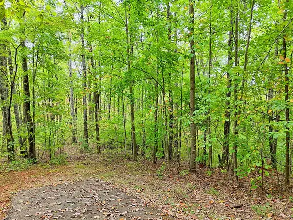 Lot 1 Skyview Drive, Hayesville, NC 28904