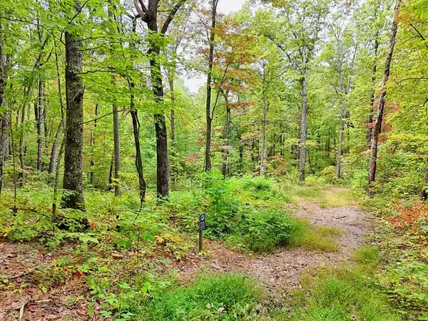 Lot 30 Skyview Drive, Hayesville, NC 28904