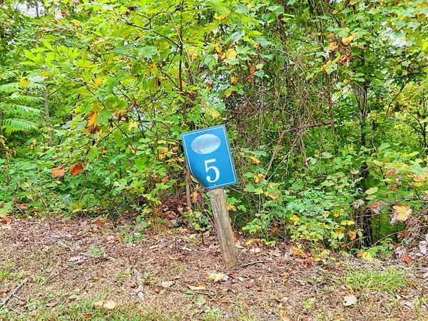 Lot 5 Skyview Drive, Hayesville, NC 28904