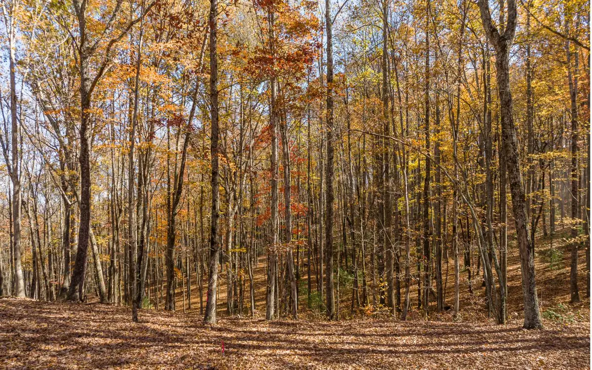 Lot 17R Tanager Trail, Ellijay, GA 30536 - Image #1