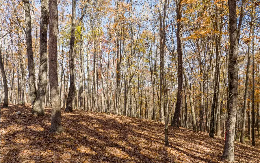 Lot 17R Tanager Trail, Ellijay, GA 30536 - Image #2