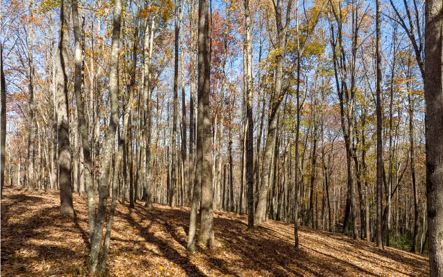 Lot 17R Tanager Trail, Ellijay, GA 30536 - Image #3