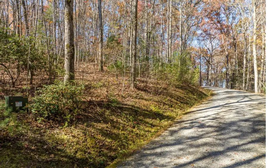 LOT 7 Joseph Anderson Trail, Ellijay, GA 30536 - Image #2