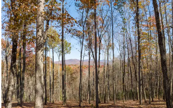 19R Settlement Trail, Ellijay, GA 30536