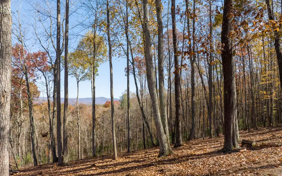 19R Settlement Trail, Ellijay, GA 30536 - Image #2