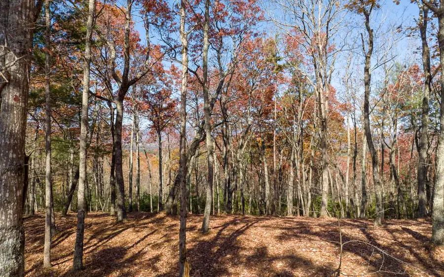 LOT 40 Preserve Trail, Ellijay, GA 30536 - Image #3