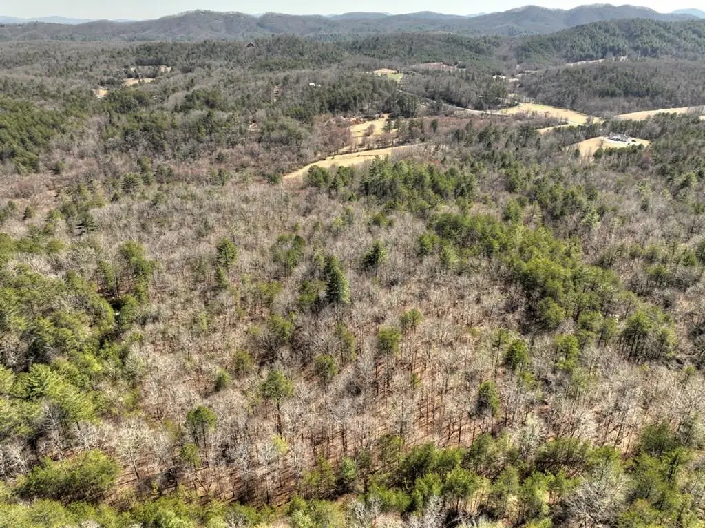 48.4ac Lofty Heights, Mineral Bluff, GA 30559 - #1