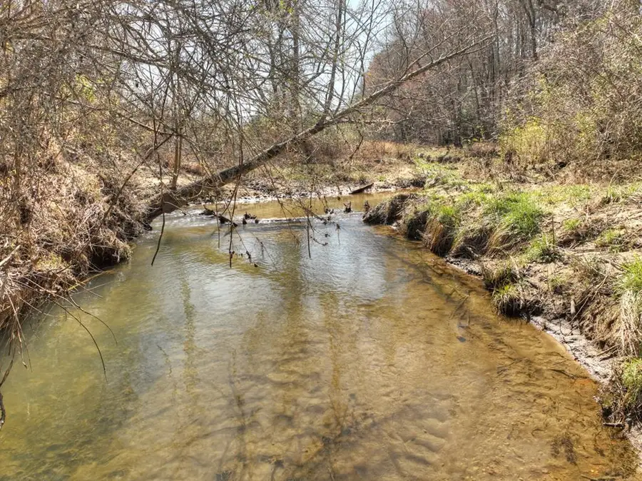 48.4ac Lofty Heights, Mineral Bluff, GA 30559 - #2