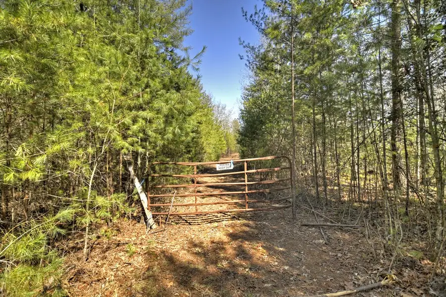 48.4ac Lofty Heights, Mineral Bluff, GA 30559 - #3