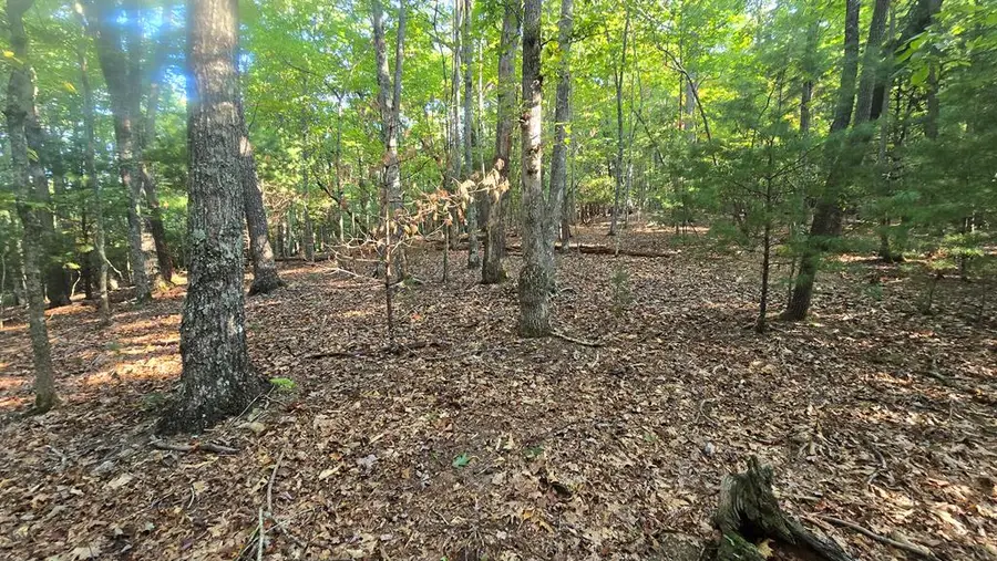10 Acres Mt Pleasant Church, Blairsville, GA 30512 - Image #2