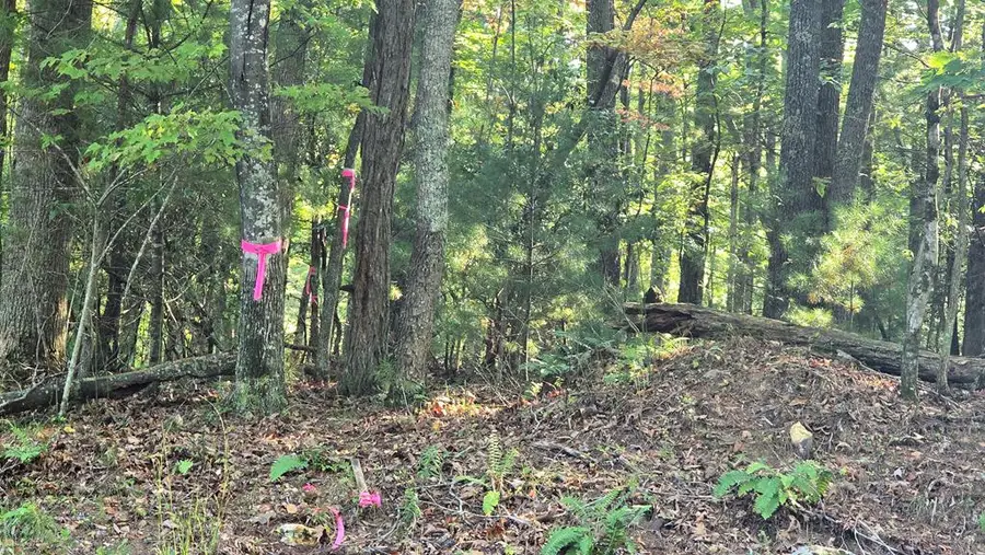 10 Acres Mt Pleasant Church, Blairsville, GA 30512 - Image #3