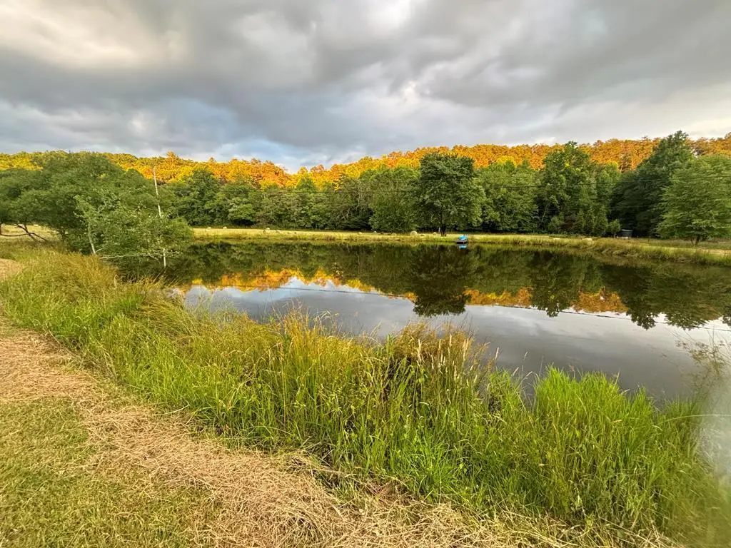 138 Wolf Creek Estates, Mineral Bluff, GA 30559 - Image #1