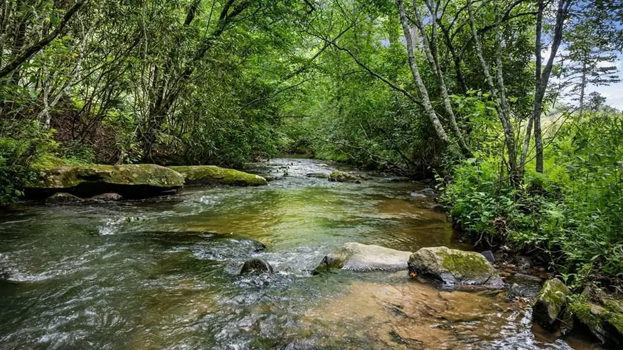 138 Wolf Creek Estates, Mineral Bluff, GA 30559 - Image #2