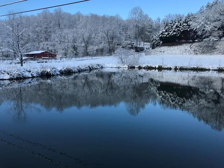 138 Wolf Creek Estates, Mineral Bluff, GA 30559 - Image #3