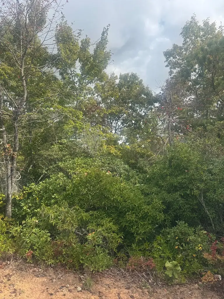 Lot 16 Brown Hawk, Clayton, GA 30525 - #3