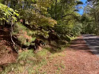 Lot 278 Guidon, Ellijay, GA 30540 - Image #3