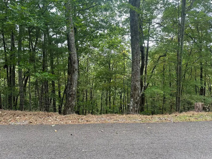 Lot A28 Laurel Ridge Drive, Ellijay, GA 30536 - Image #2