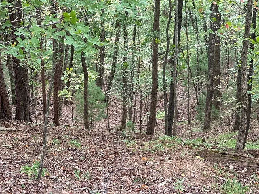 Lot A28 Laurel Ridge Drive, Ellijay, GA 30536 - Image #3