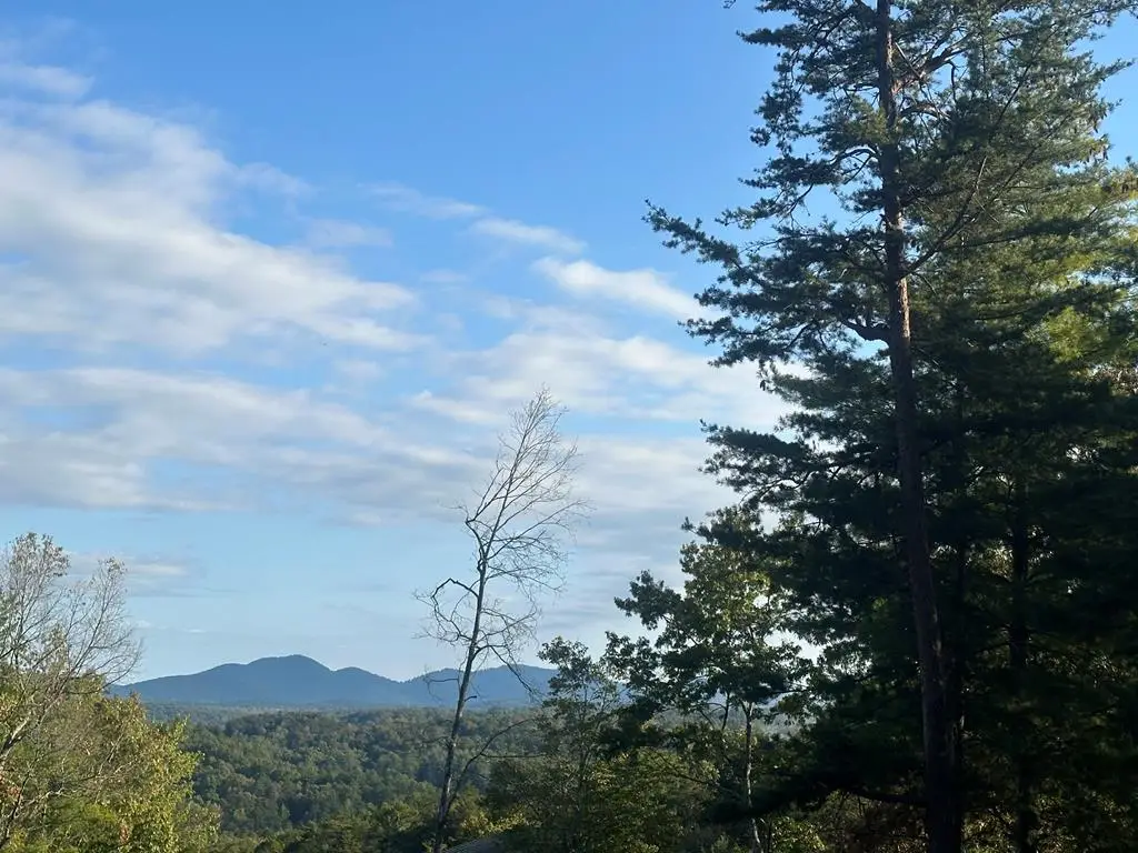 Lot 44 Ridgeline Lane, Mineral Bluff, GA 30559 - Image #1
