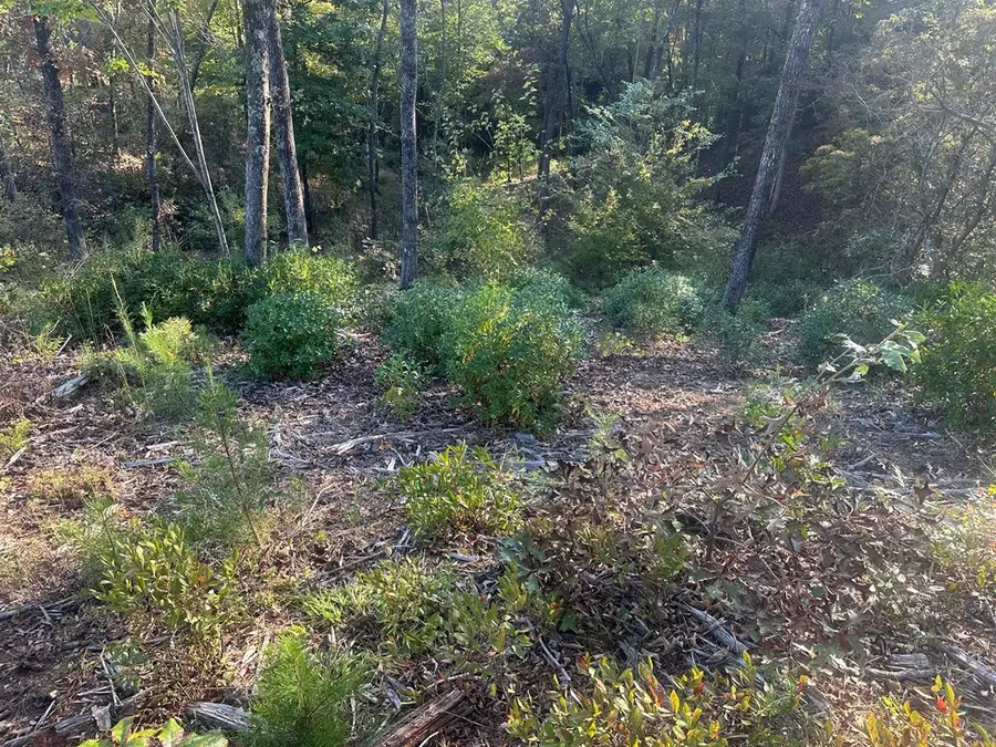 Lot 44 Ridgeline Lane, Mineral Bluff, GA 30559 - Image #2