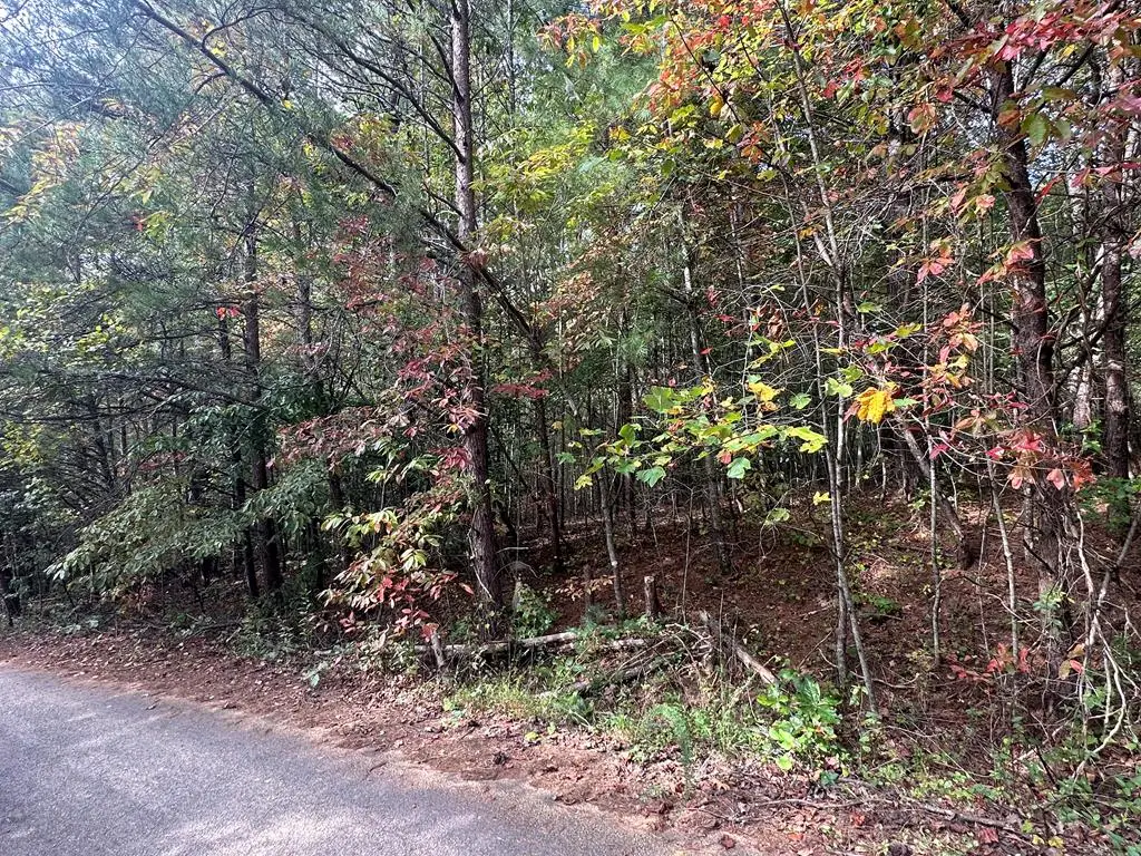 Lot 14 Pine Grove Drive, Epworth, GA 30541 - Image #1