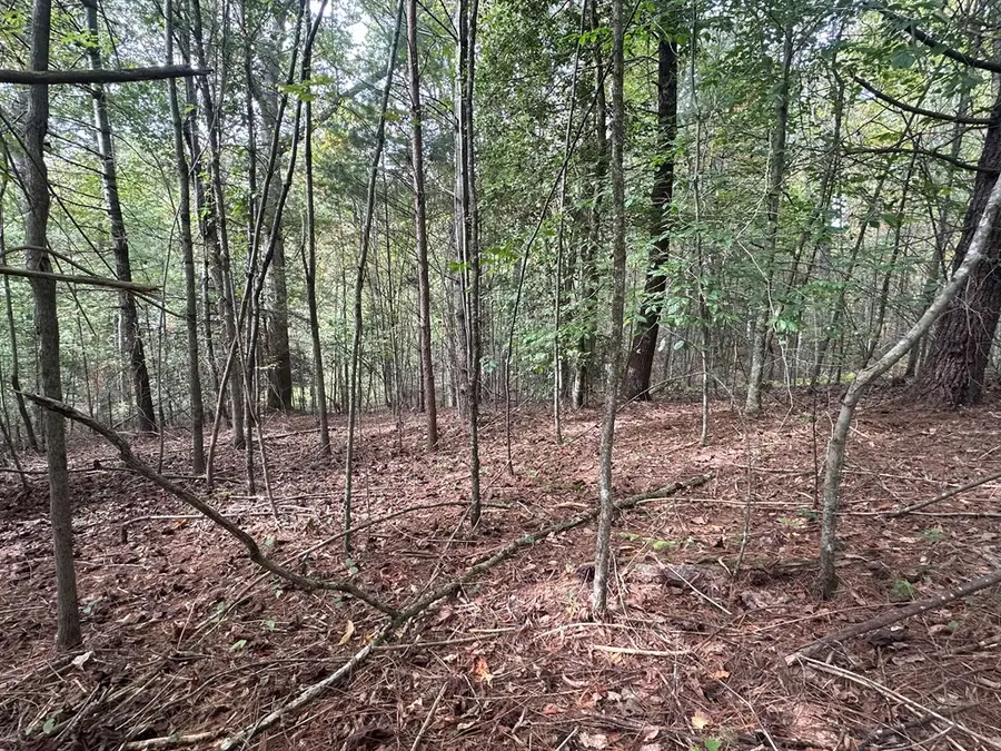 Lot 14 Pine Grove Drive, Epworth, GA 30541 - Image #3