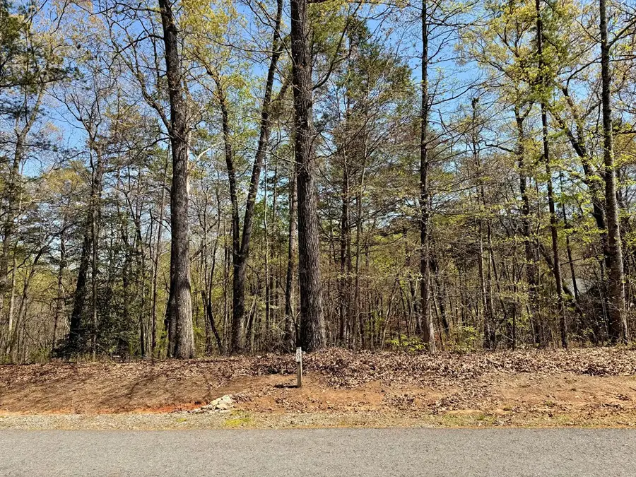 17 Arbor Way, Blue Ridge, GA 30513 - Image #3