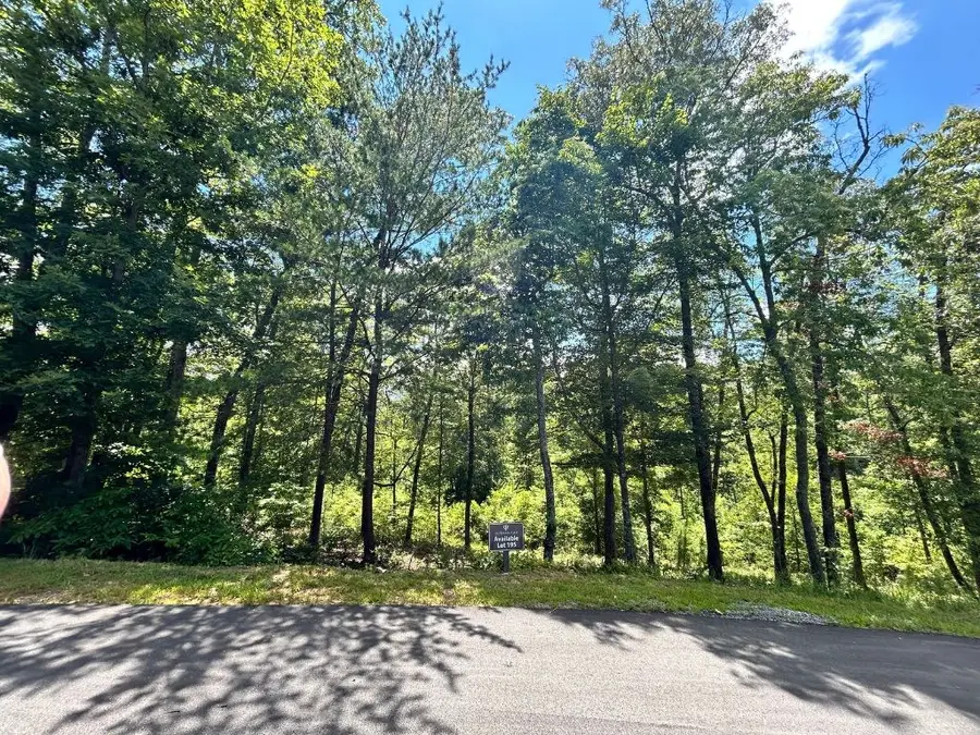 Lot 195 Trails End Way, Mineral Bluff, GA 30559 - #2