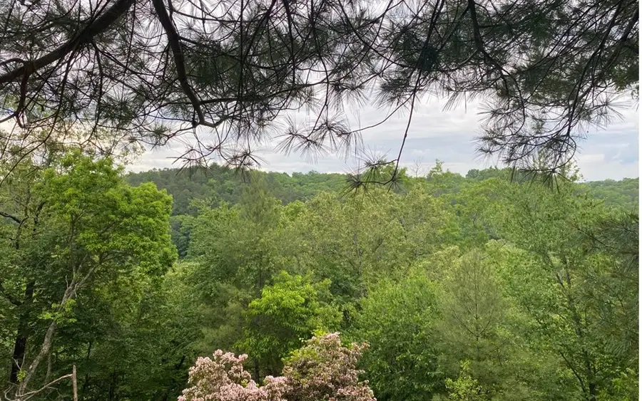 20 Toccoa River Forest, Mineral Bluff, GA 30559 - Image #2