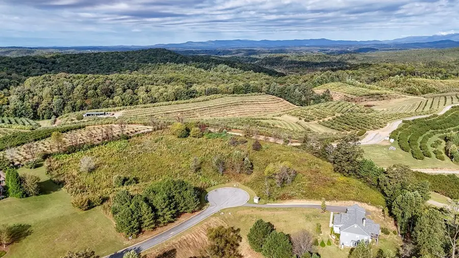 Lot 21 Ridgemont Lane, Ellijay, GA 30536 - #2