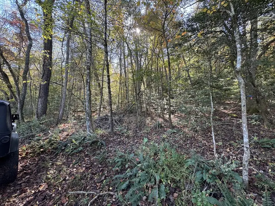 0 Saffron Lane, Blue Ridge, GA 30513 - #3