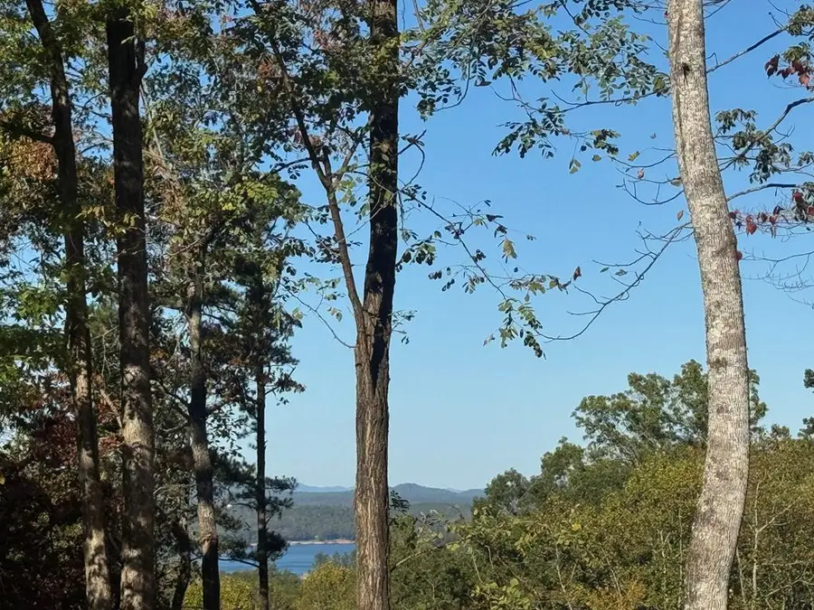 120 Green Ridge Road, Blue Ridge, GA 30513 - #2