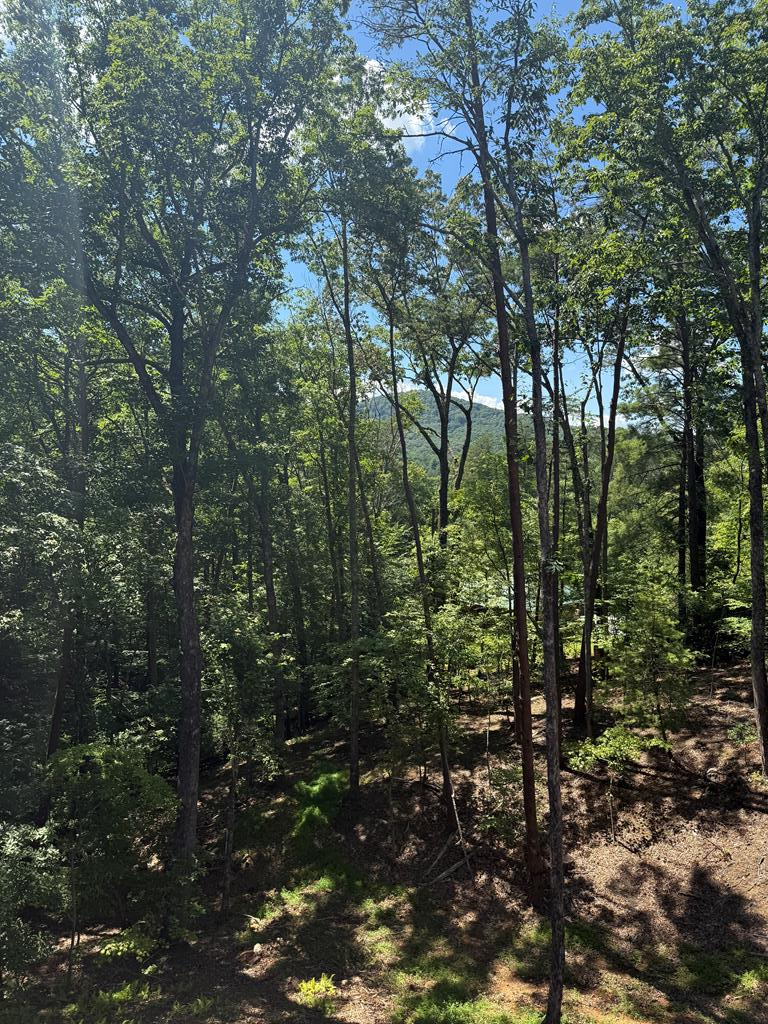 120 Green Ridge Road, Blue Ridge, GA 30513 - #3