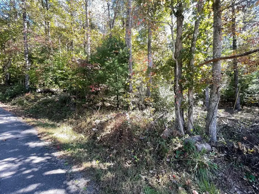 Lot 42 Hiawassee Lake Est, Hiawassee, GA 30546 - Image #2
