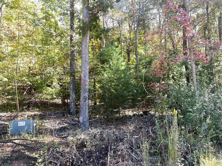 Lot 42 Hiawassee Lake Est, Hiawassee, GA 30546 - Image #3