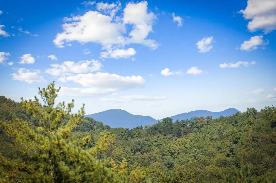 588 Bell Camp Ridge Road, Blue Ridge, GA 30513 - #3