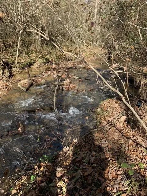 Lot 95 Cedar Road, Ellijay, GA 30540 - #2