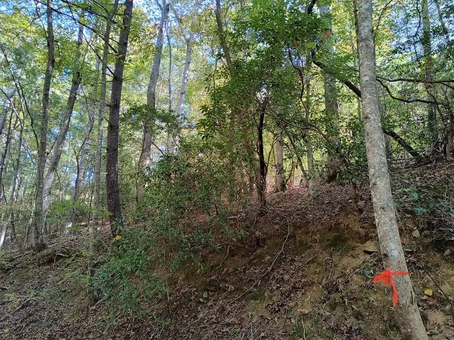 Lot 334 Cold Stream Court, Ellijay, GA 30540 - #2