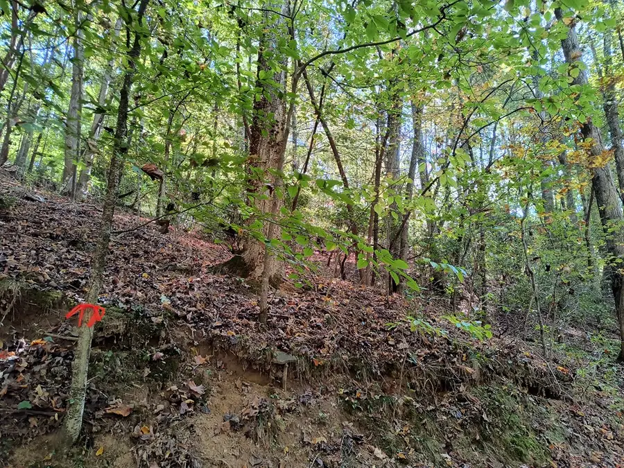 Lot 334 Cold Stream Court, Ellijay, GA 30540 - #3