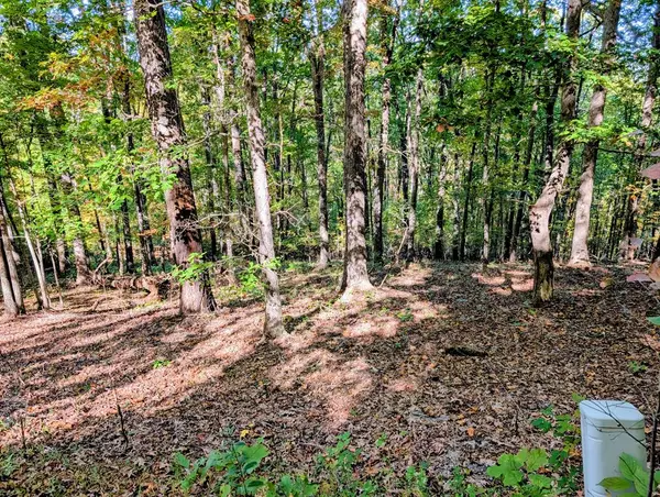 LOT 30 Rocky Knob Drive, Young Harris, GA 30582