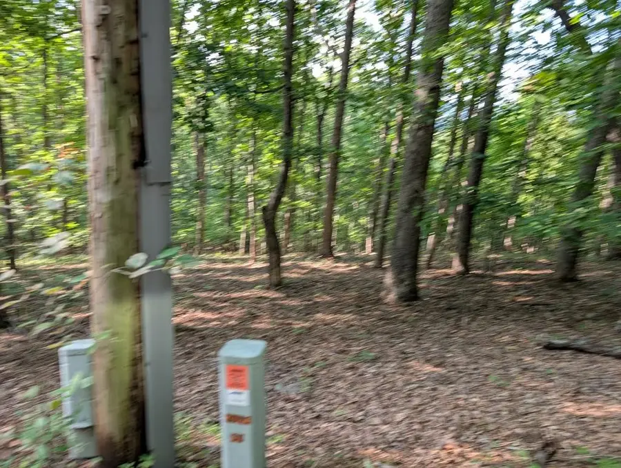 LOT 30 Rocky Knob Drive, Young Harris, GA 30582 - #3