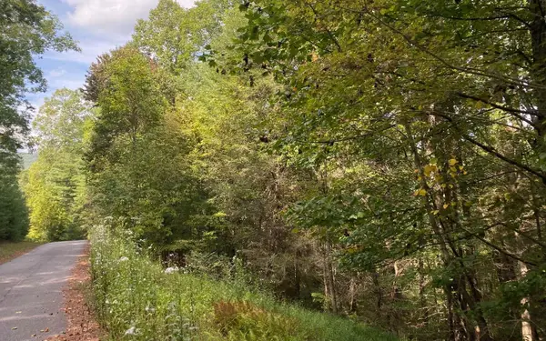 Lot 58 Gobblers Knob, Suches, GA 30572