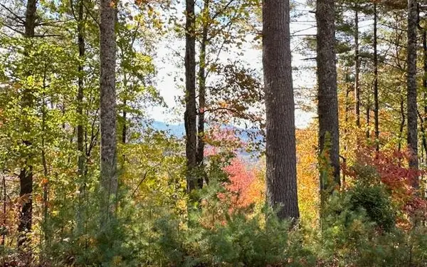 Lt 56,57 Hemlock Heights, Suches, GA 30572